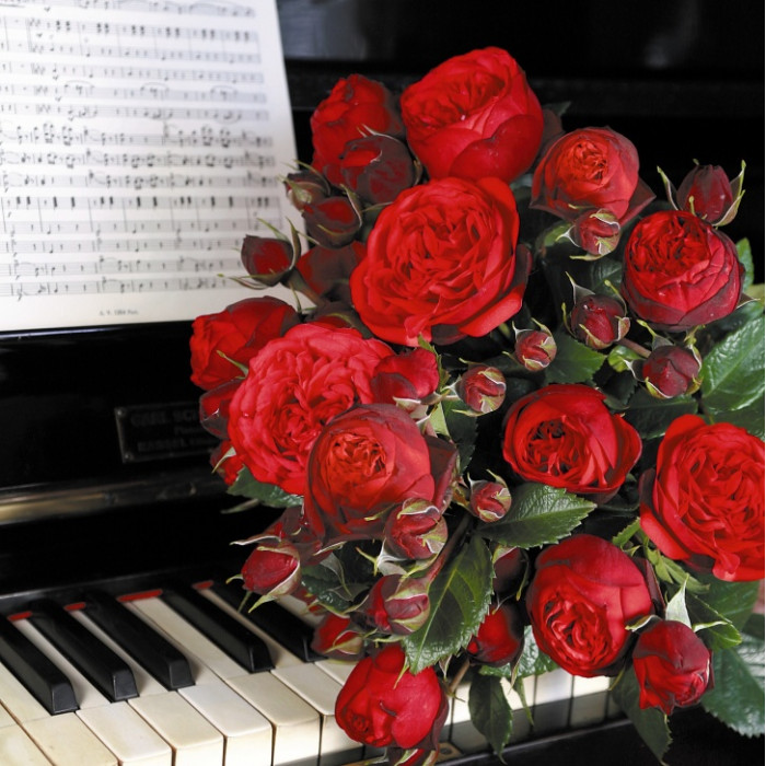 PIANO®